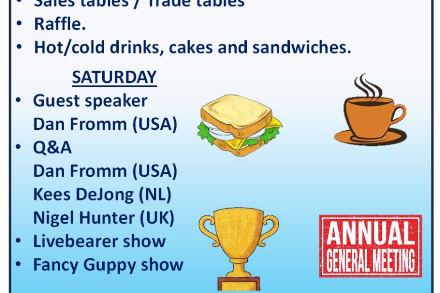 British Livebearer Association Autumn Convention 2025